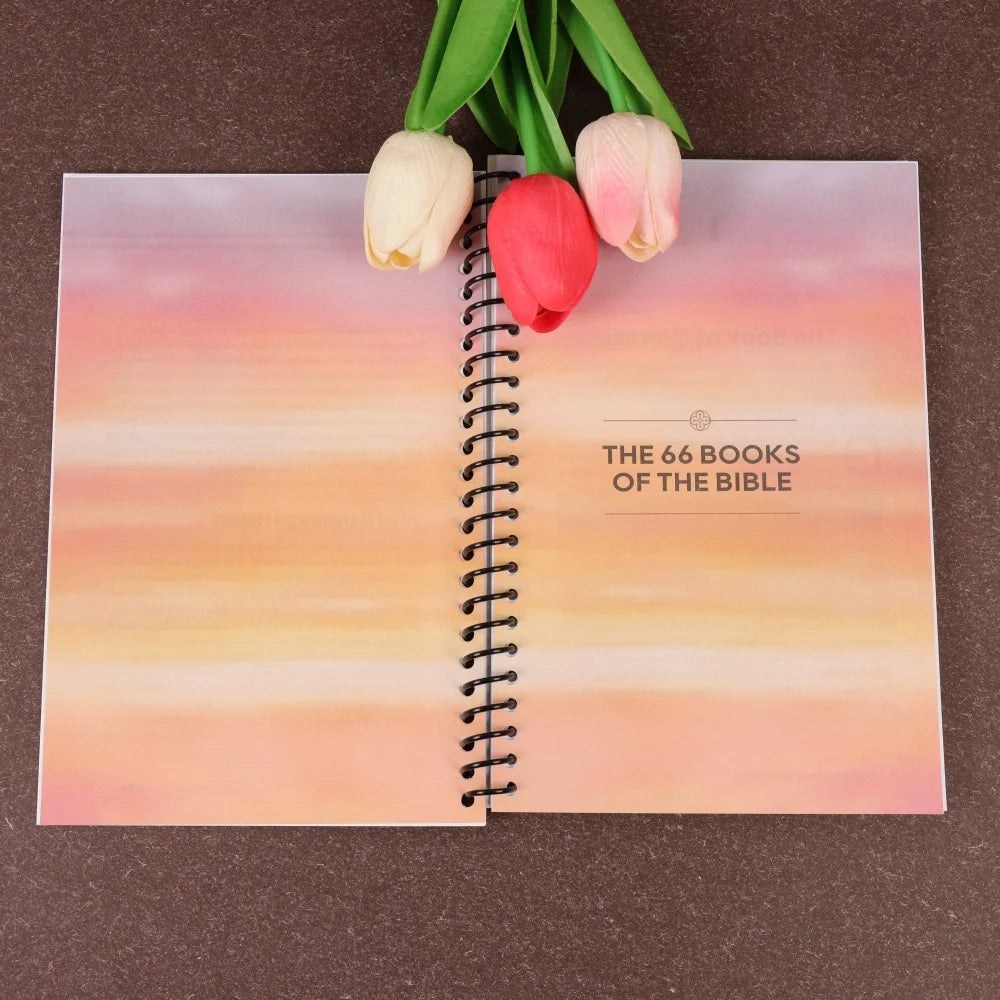 Bible Made Simple: Beginner'S Guide to All 66 Books with Themes, Lessons, and Spiritual Insights Gift